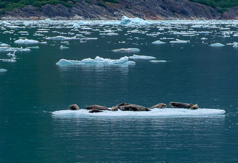 Southeast Alaska