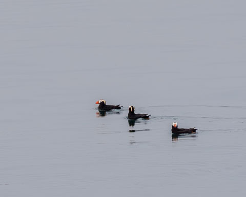 Southeast Alaska