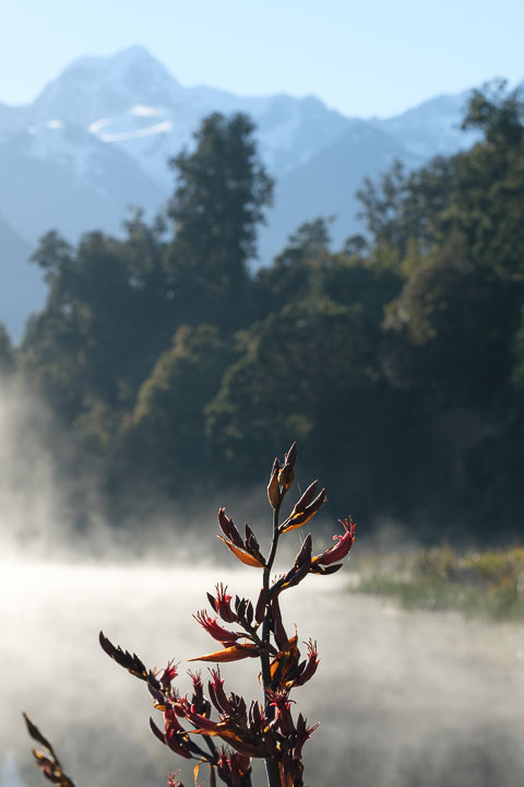 New Zealand South Island