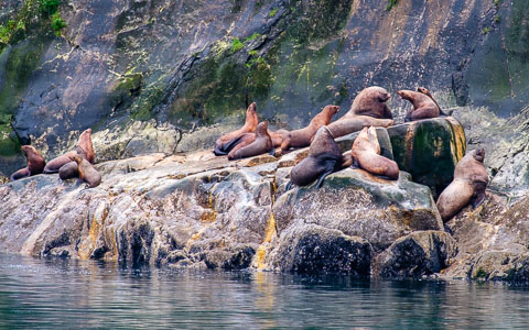 Southeast Alaska